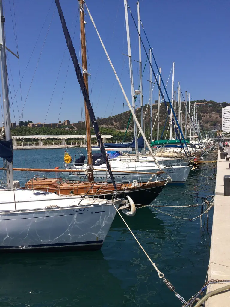 AIL Málaga – photo 6 of 6
