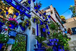 Proyecto Español Alicante
